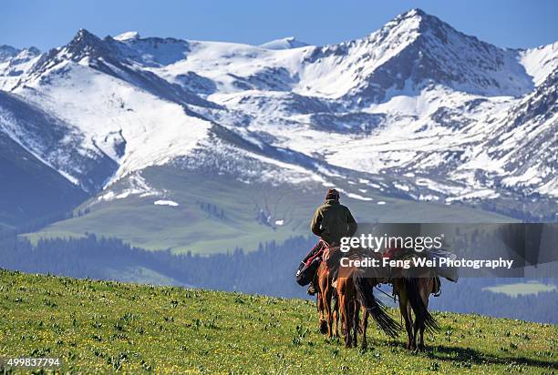 kazakh horse rider, kalajun grassland, xinjiang china - montañas de tien shan fotografías e imágenes de stock