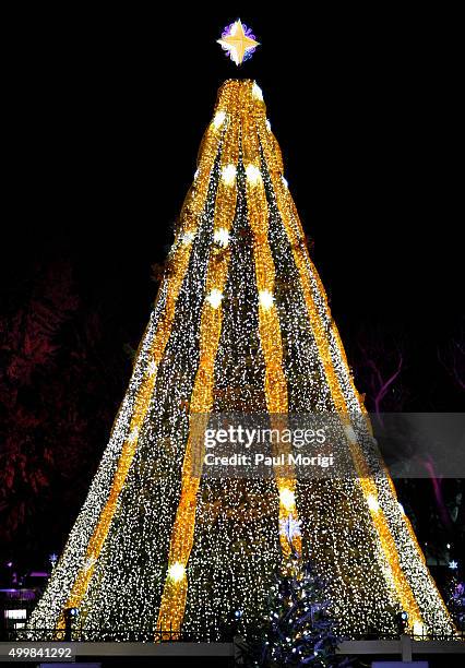 The National Christmas Tree at 93rd Annual National Christmas Tree Lighting at The Ellipse on December 3, 2015 in Washington, DC.