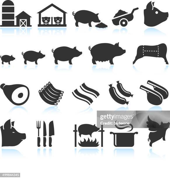 farm pig live cycle and food preparation set - spit roasted stock illustrations