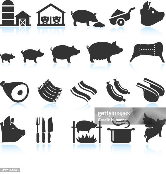 farm pig live cycle and food preparation set - spit roast stock illustrations