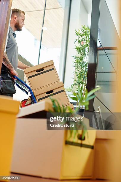 office move day - movers carrying boxes stock pictures, royalty-free photos & images
