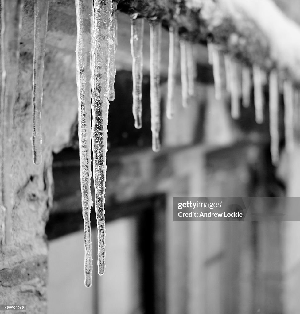 Icicles on a window
