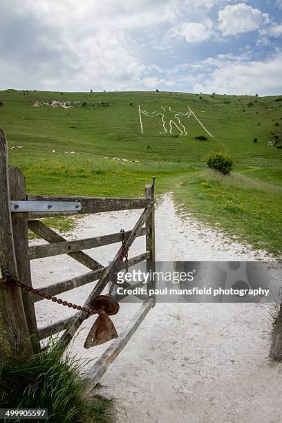 path leading to the long man of wilmington - wilmington - east sussex imagens e fotografias de stock