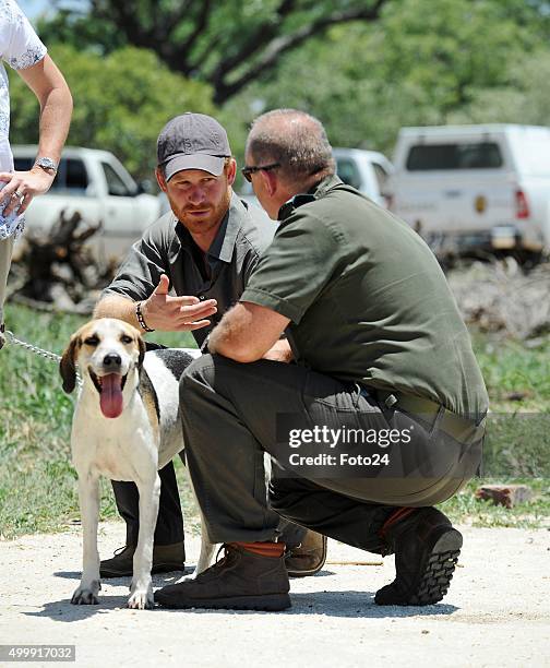 Prince Harry during a visit at the South African Wildlife College on December 2, 2015 at in Hoedspruit, South Africa. Prince Harry is visiting South...