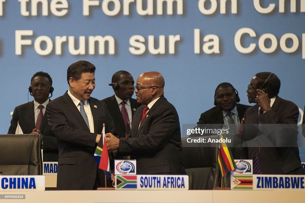 China-Africa cooperation forum in Johannesburg