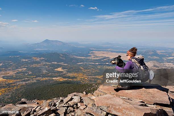 hiker and dog on humphreys peak - flagstaff arizona stock pictures, royalty-free photos & images