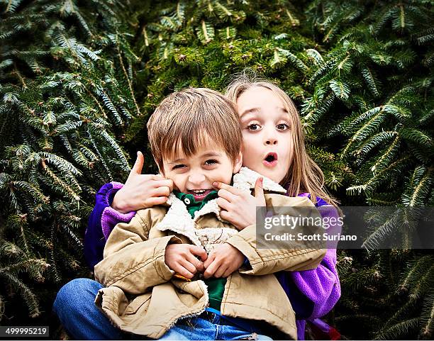 kids - sibling christmas stock pictures, royalty-free photos & images