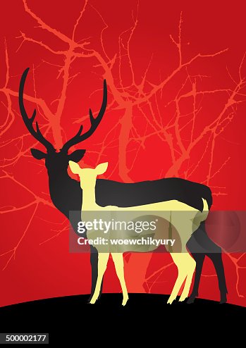 Deer vector Deer vector