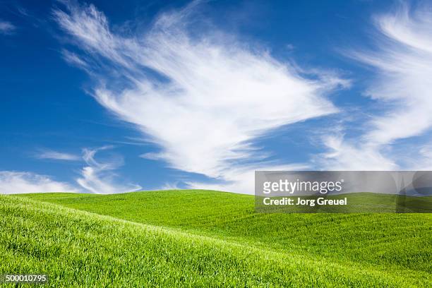 green hills - rolling landscape stock pictures, royalty-free photos & images