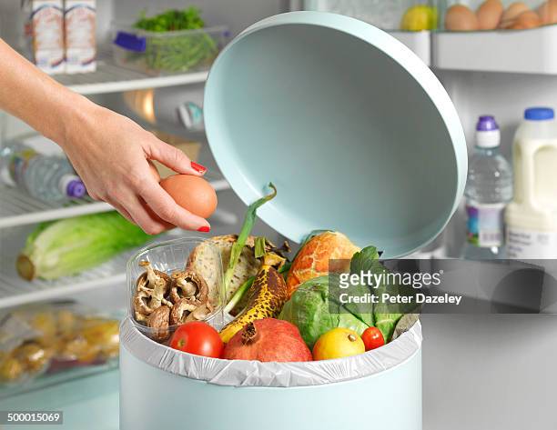 out of date in garbage bin in front of fridge - food staple stock pictures, royalty-free photos & images