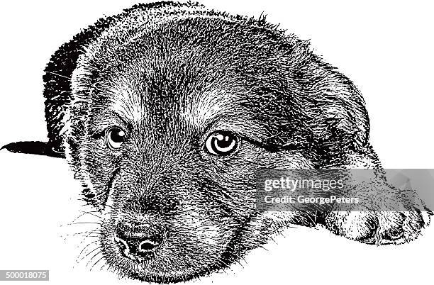 cute puppy - tire vector front stock illustrations