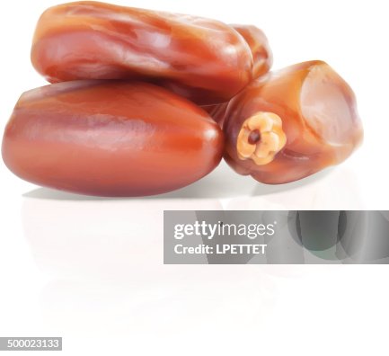 Dates - Vector Illustration Dates - Vector Illustration