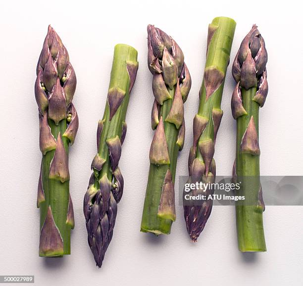 asparagus on white - asparagus stock pictures, royalty-free photos & images