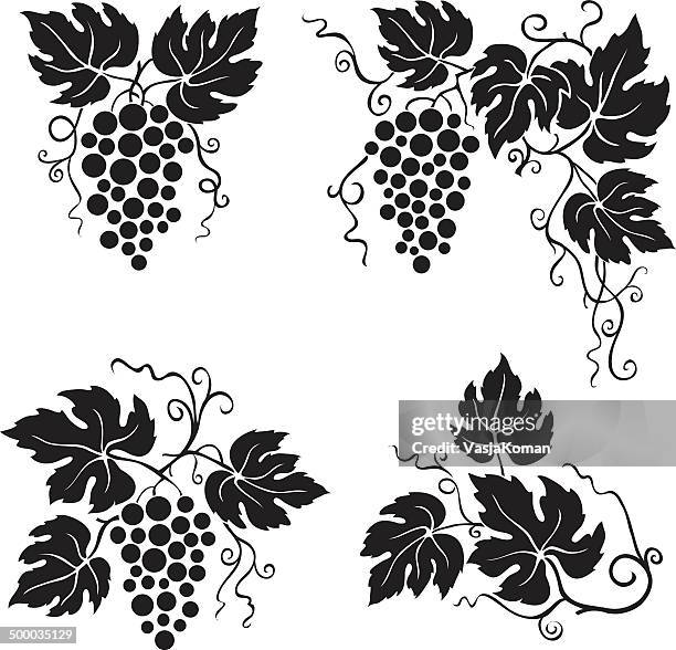 stockillustraties, clipart, cartoons en iconen met vine leaves and grapes - grapes on vine