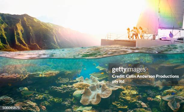 friends diving off boat into tropical reef - living coral stock pictures, royalty-free photos & images