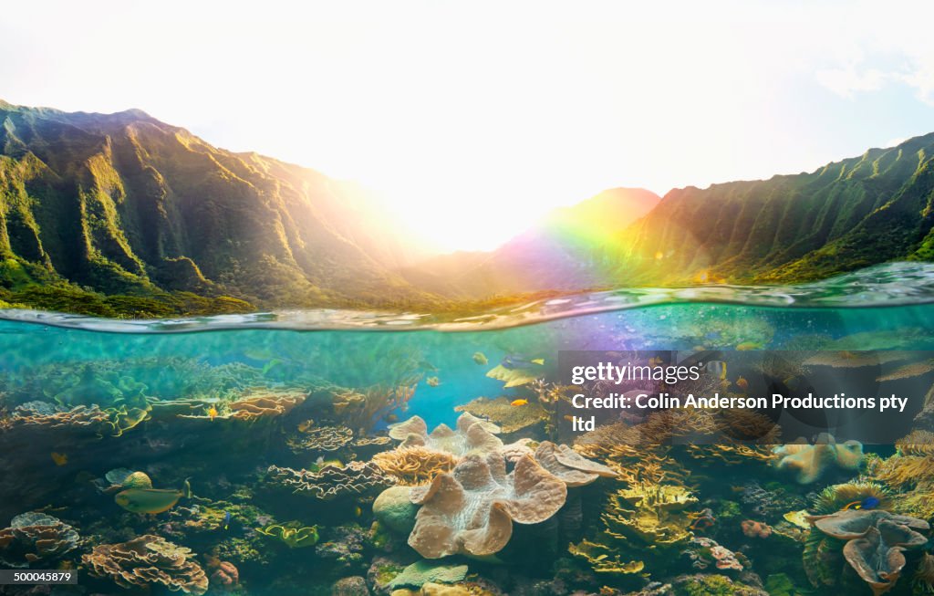 Tropical reef under rural cliffs