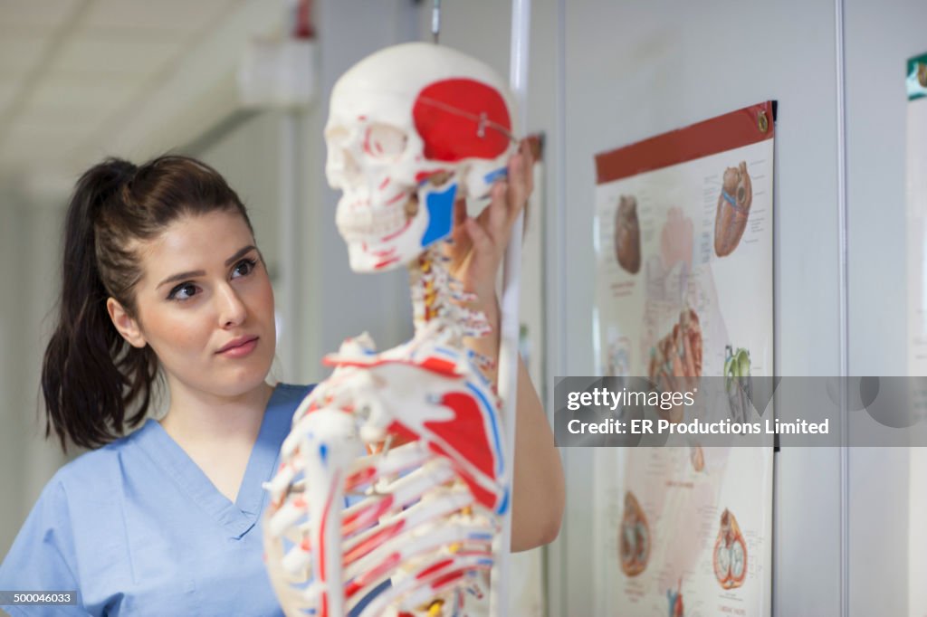 Nurse examining skeleton in doctor's office