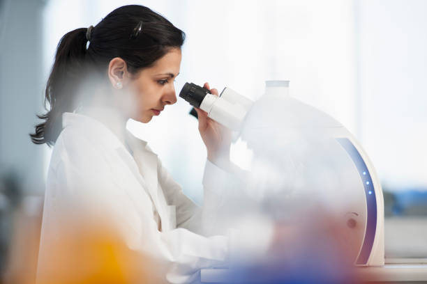Someone Using Optical Microscope 21,584 Person Looking Into Microscope Stock Photos, High-Res Pictures ...