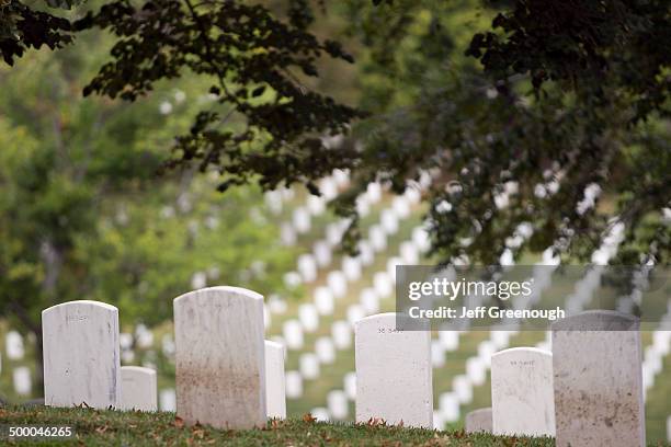 white headstones overlooking military cemetery, arlington, virginia, united states - churchyards stock pictures, royalty-free photos & images