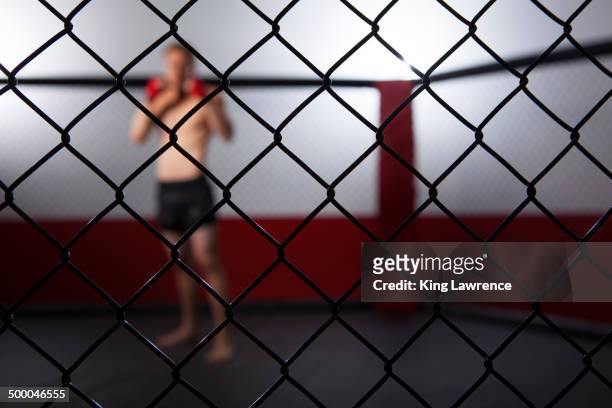 caucasian cage fighter standing in cage - mixed martial arts photos et images de collection