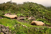 traditional village in Papua