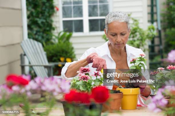 senior african american woman gardening - garden trowel stock pictures, royalty-free photos & images