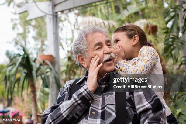 senior caucasian man and granddaughter whispering outdoors - granddaughter ストックフォトと画像