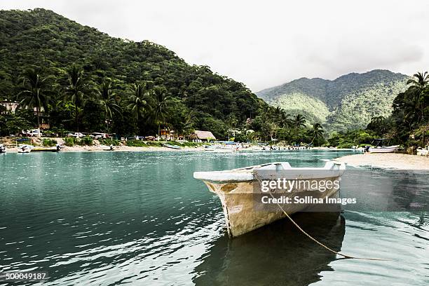 docked boat floating in tropical bay - nayarit stockfoto's en -beelden