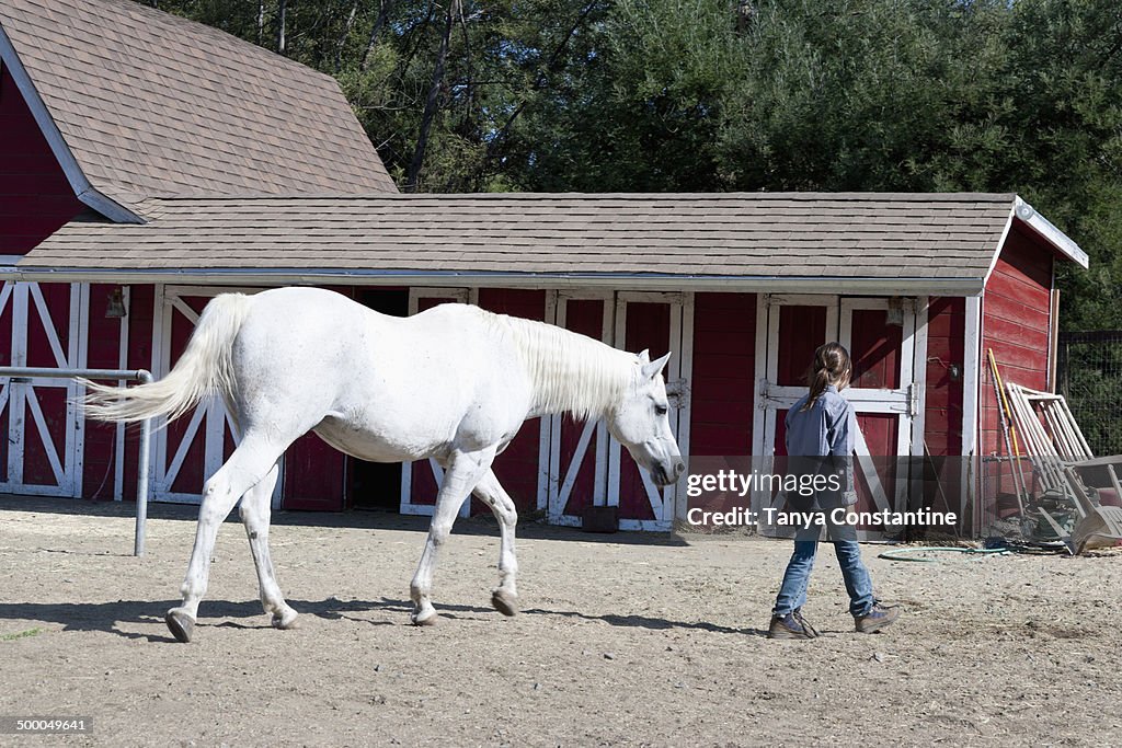 Mixed race girl walking horse on ranch