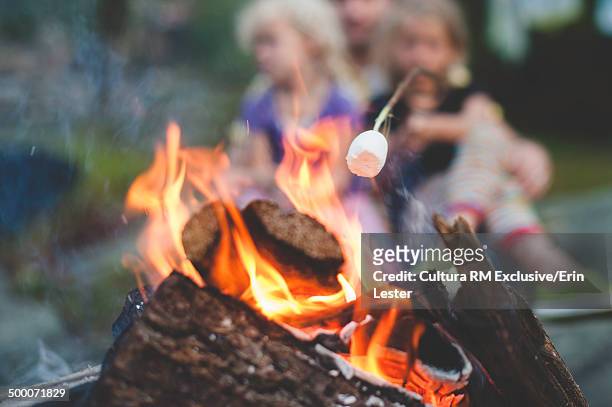 two young sisters toasting marshmallows on campfire - lagerfeuer stock-fotos und bilder