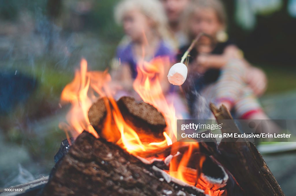 Two young sisters toasting marshmallows on campfire