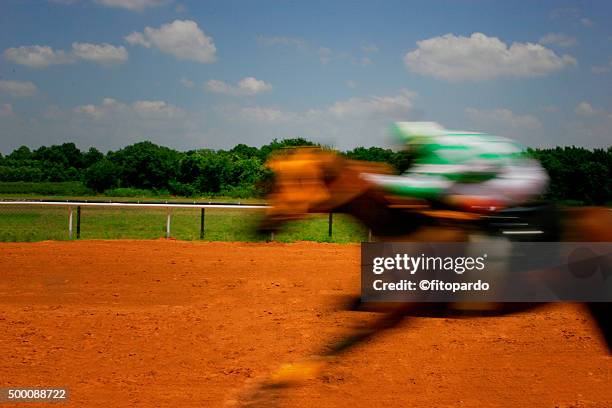 Long Exposure Racing Long Exposure Horse Photos and Premium High Res Pictures - Getty Images