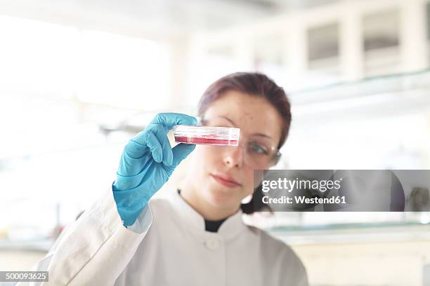 young female scientist at work in lab - mitarbeiter lab stock-fotos und bilder