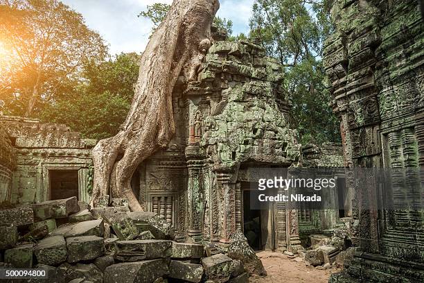 tempio di angkor wat, cambogia - in rovina foto e immagini stock