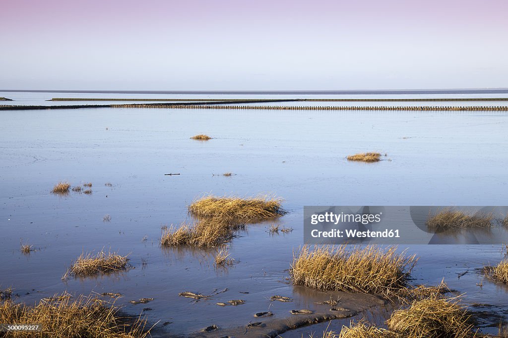 Germany, Lower Saxony, East Frisia, Lower Saxon Wadden Sea National Park