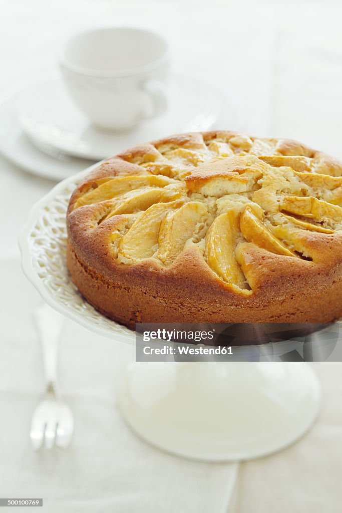 Homemade apple cake, studio shot