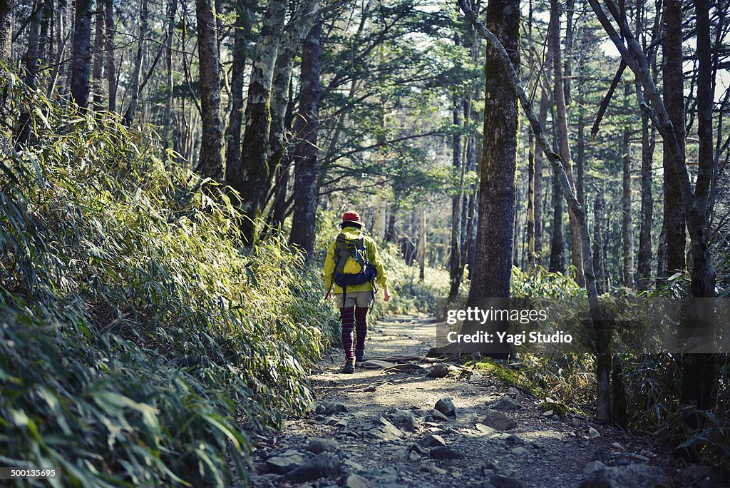 Woman hiking in Mt. Odaigahara