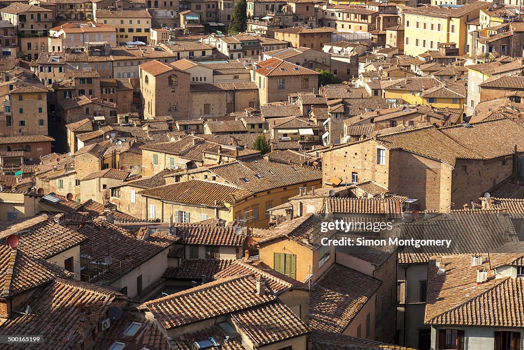 Roof tops of Siena