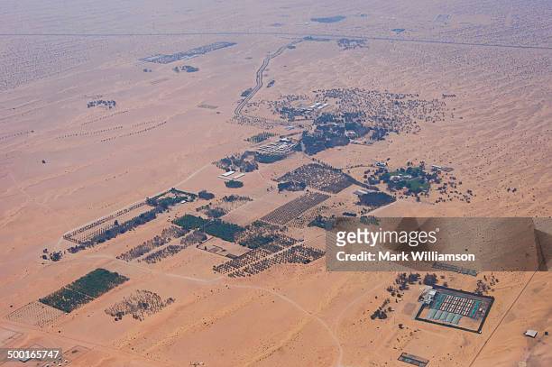 desert settlement near dubai from the air. - dubai international airport stock pictures, royalty-free photos & images