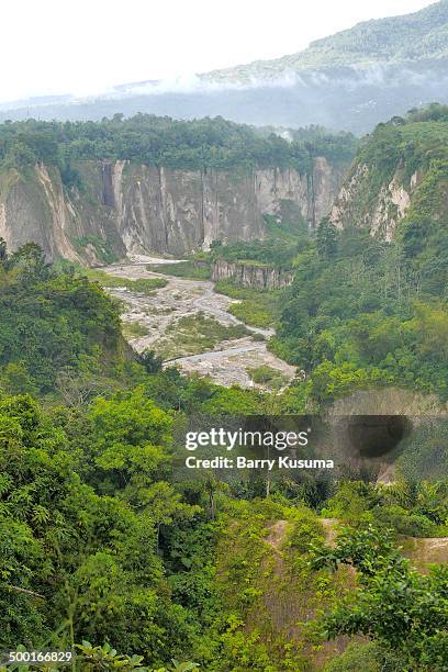 harau valley, west sumatera - overview by west sumatera imagens e fotografias de stock