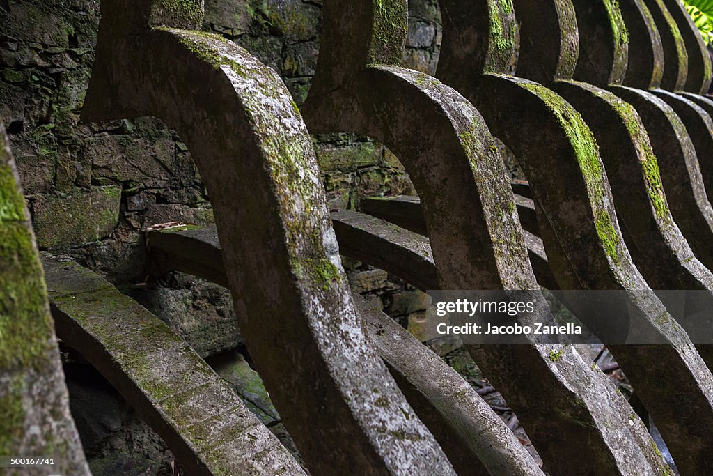 Wall detail in Xilitla sculpture garden