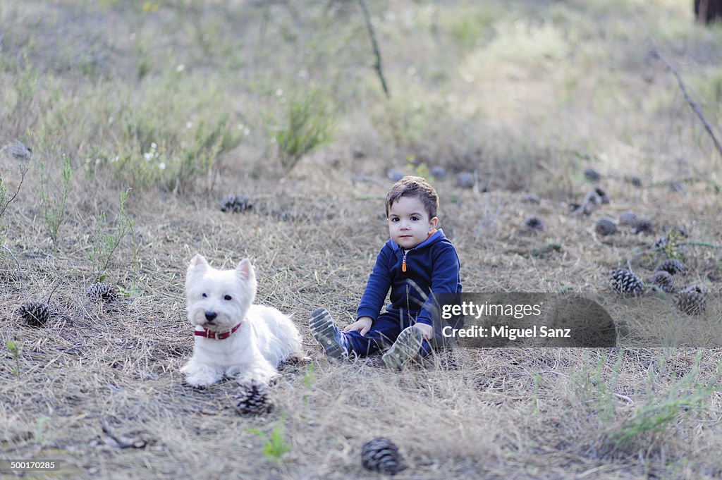 Blond boy and westy sitting in a forest