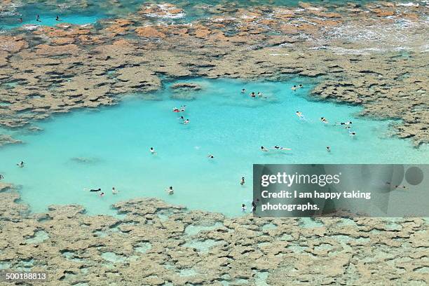 we enjoyed snorkeling. - samoa stock pictures, royalty-free photos & images