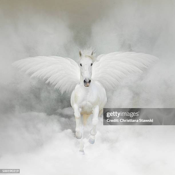 pegasus flying in the clouds - the white horse stock pictures, royalty-free photos & images