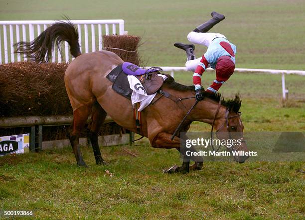 Loch Ard ridden by ridden by Miss S Gould falls at the last at Barbury Racecourse on December 6, 2015 in Barbury, England.