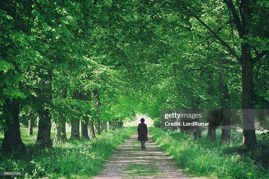 Promenade through trees