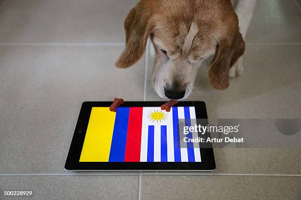 Bigui just made his prediction about the FIFA World Cup match between Colombia and Uruguay in the second round. Uruguay Wins!