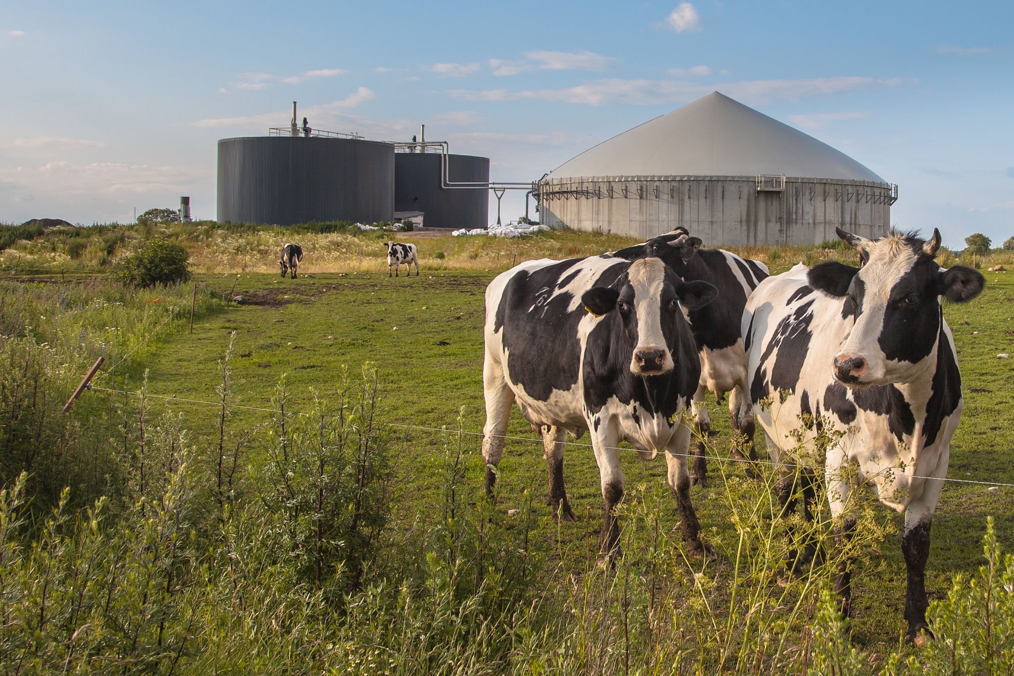 manure digester
