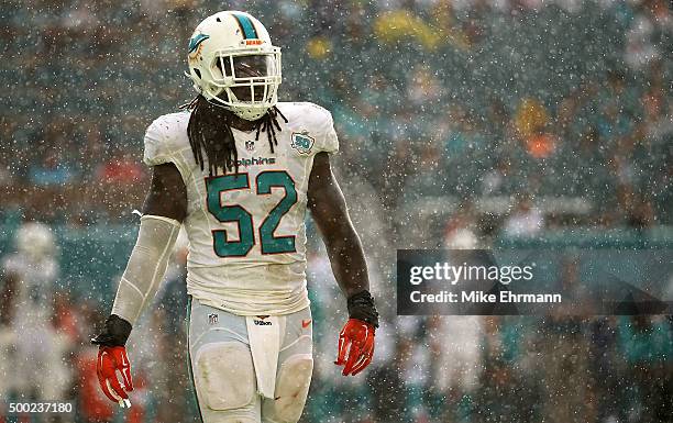 Kelvin Sheppard of the Miami Dolphins looks on during a game against the Baltimore Ravens at Sun Life Stadium on December 6, 2015 in Miami Gardens,...