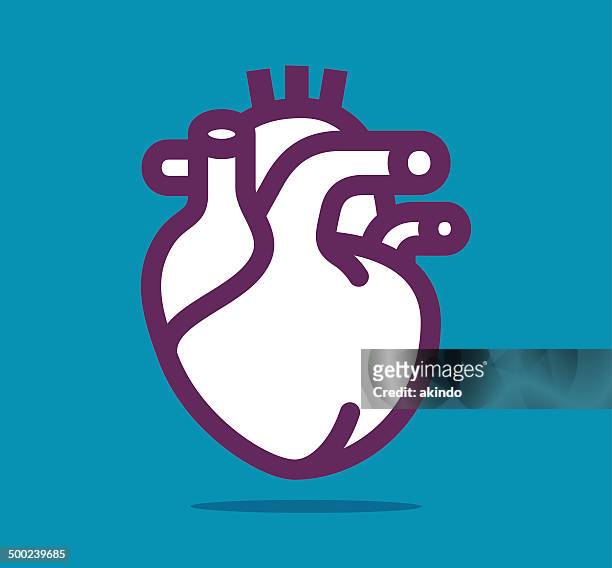 herz - human heart stock-grafiken, -clipart, -cartoons und -symbole